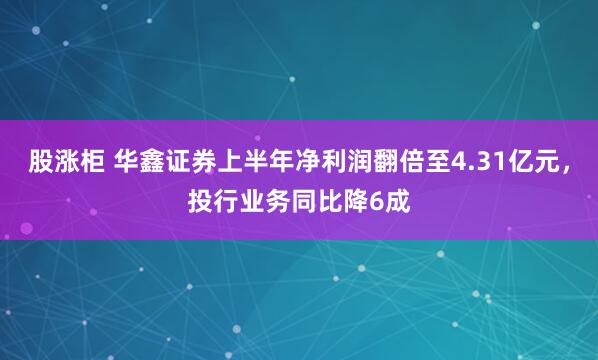 股涨柜 华鑫证券上半年净利润翻倍至4.31亿元，投行业务同比降6成